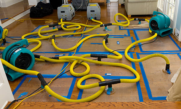 Professional Basement Flood Cleanup technician working in Cat Spring, TX